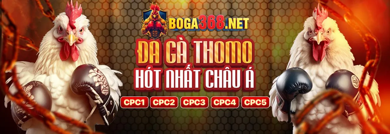 Cá cược thể thao mm88dd